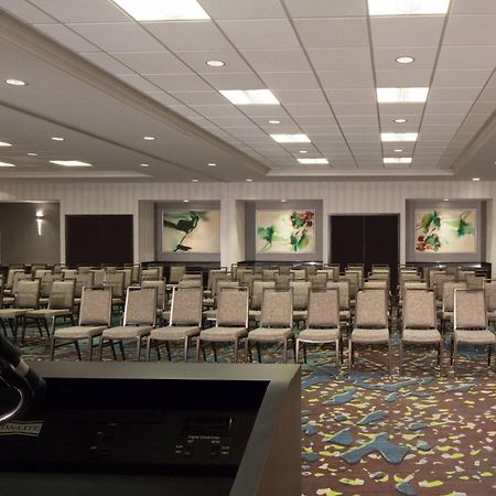 Dallas Marriott Suites Medical/Market Center Экстерьер фото